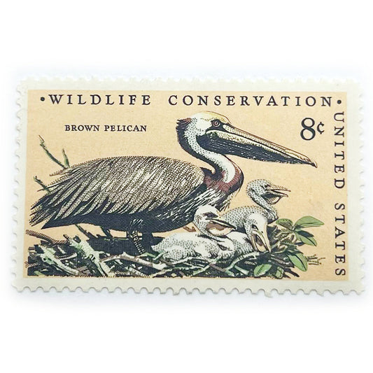 USA 8 C BROWN PELICAN WILDLIFE CONSERVATION