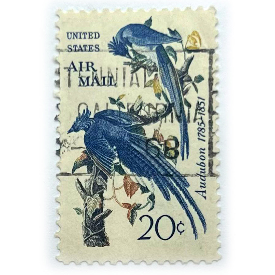 USA 20 C AUDUBON AIR MAIL