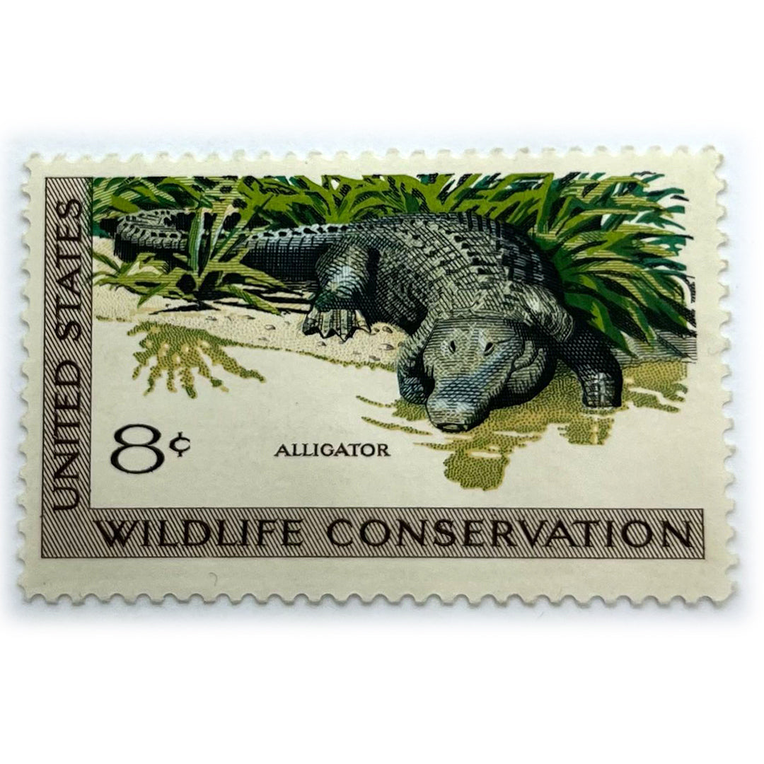 USA 8 C ALLIGATOR WILDLIFE CONSERVATION