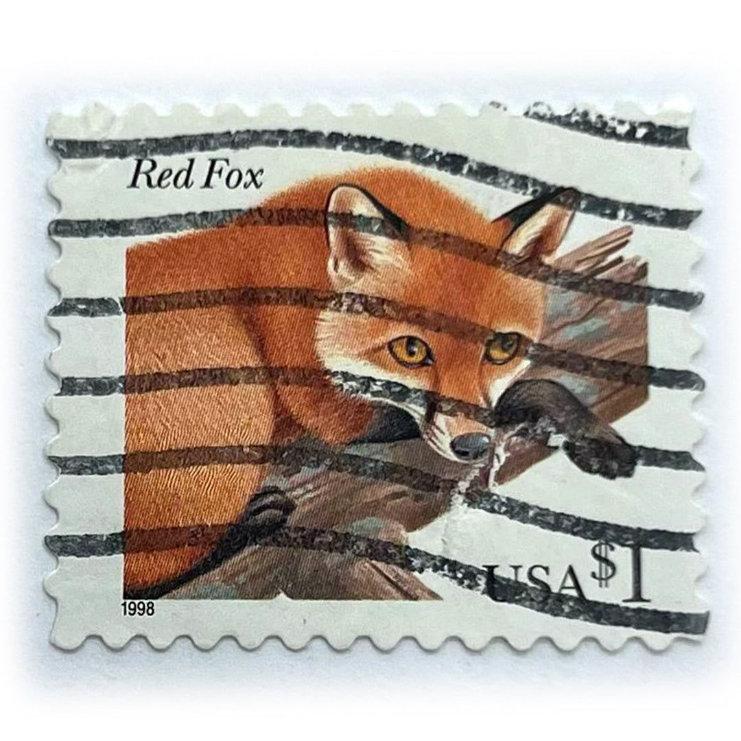 USA 1 C RED FOX