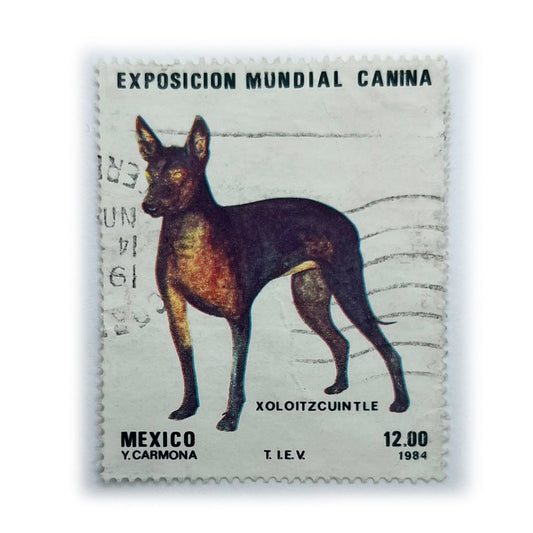 MEX 12 WORLD DOG SHOW