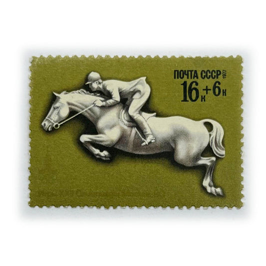 RUS 16 C HORSES