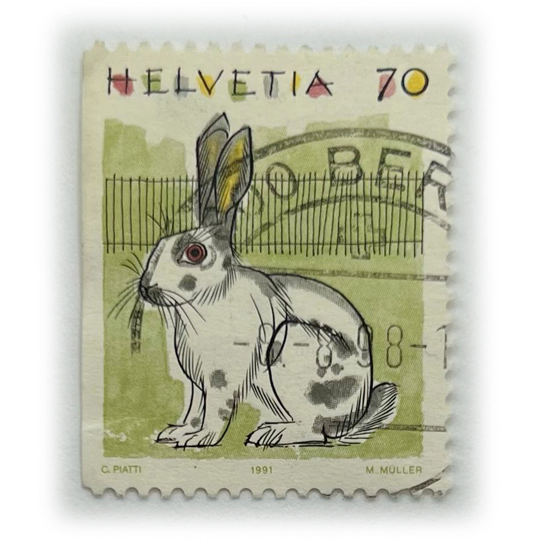 SUI 70 HELVETIA C PIATTI