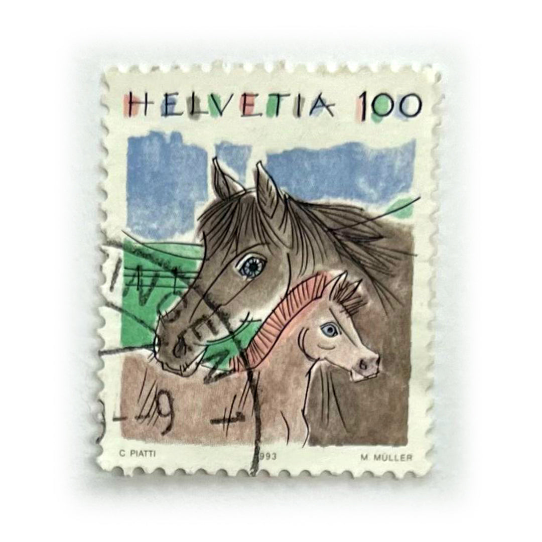 SUI 100 HELVETIA C PIATTI