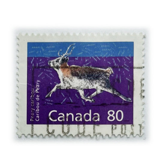 CAN 80 PEARY CARIBOU