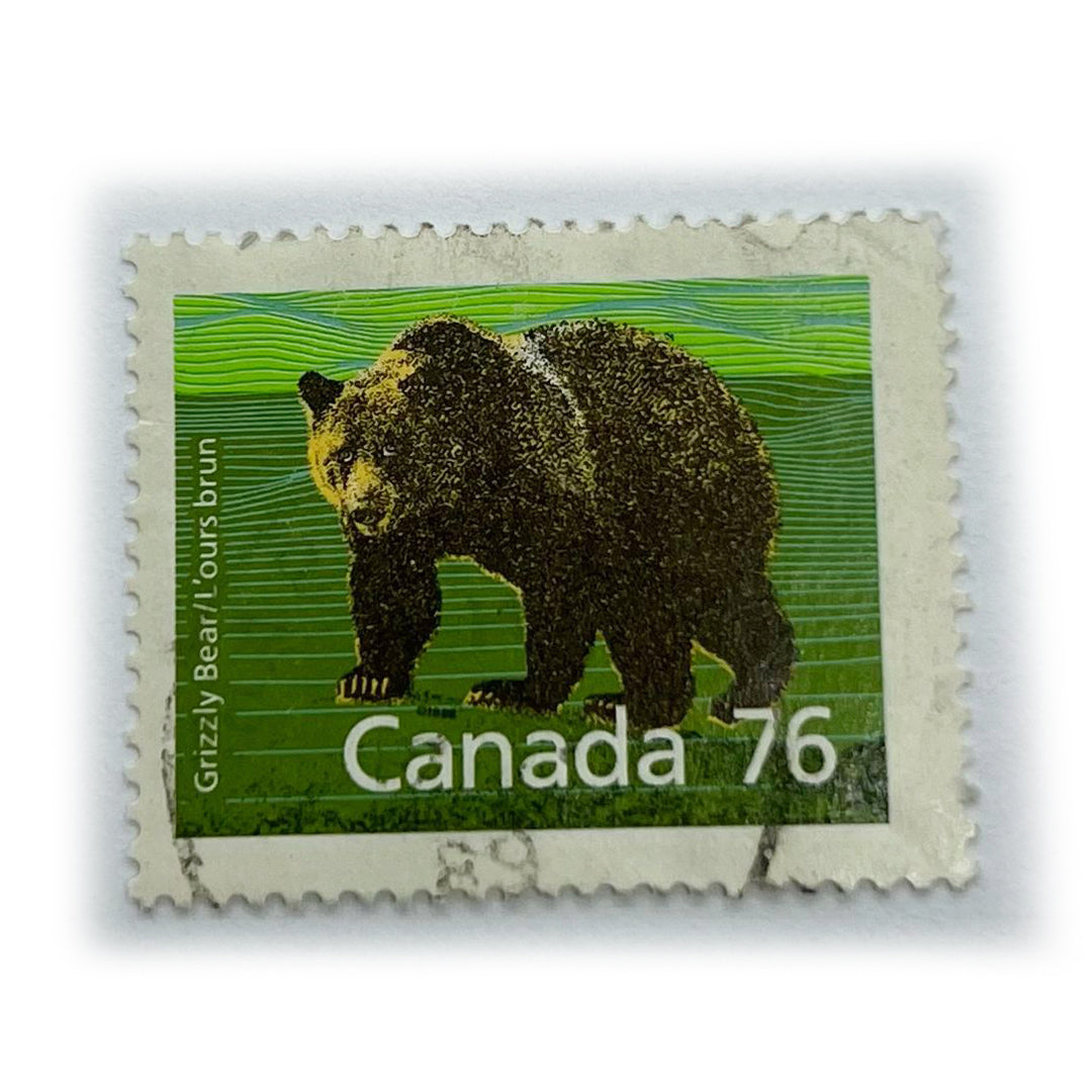 CAN 76 GRIZZLY BEAR