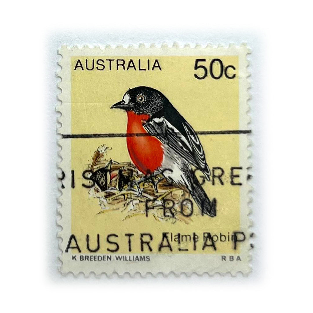 AUST 50 C FLAME ROBIN