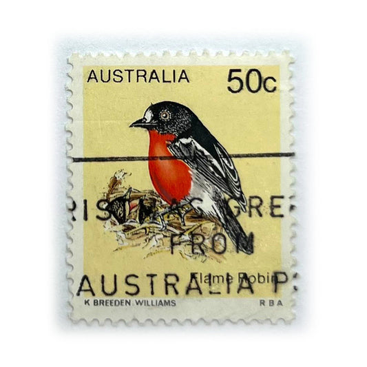 AUST 50 C FLAME ROBIN