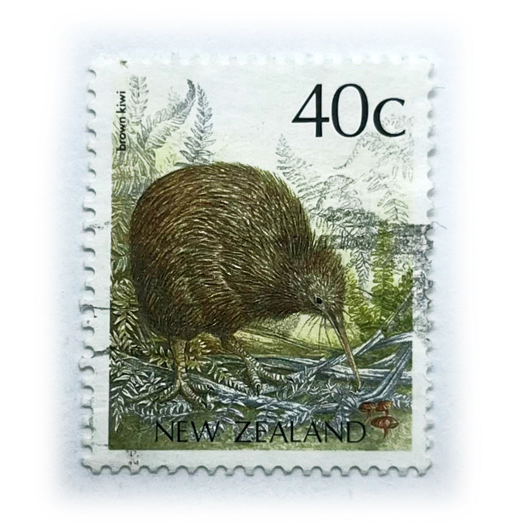 NEW 40 C BROWN KIWI