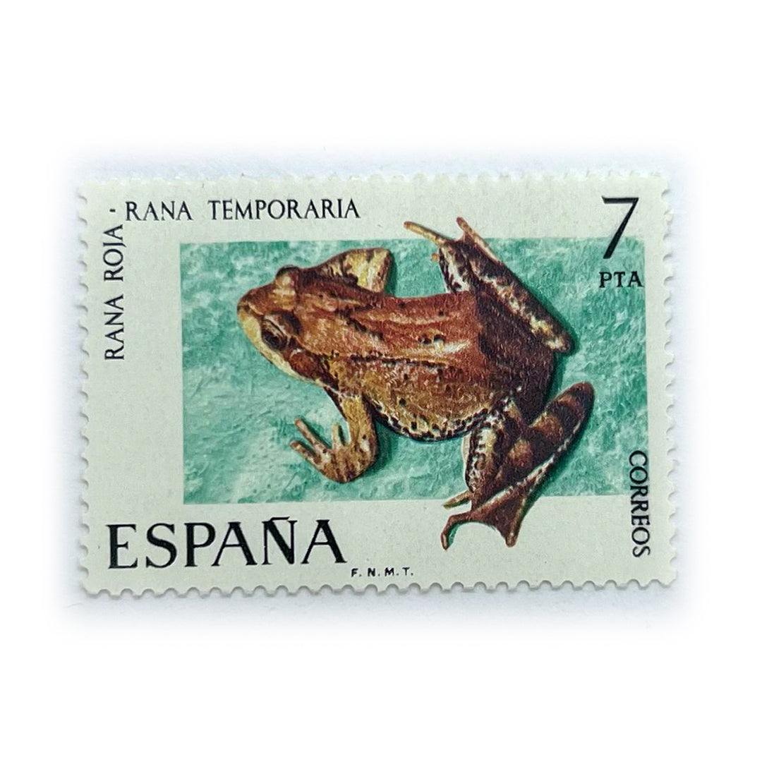 ESP 7 PTA RANA TEMPORA