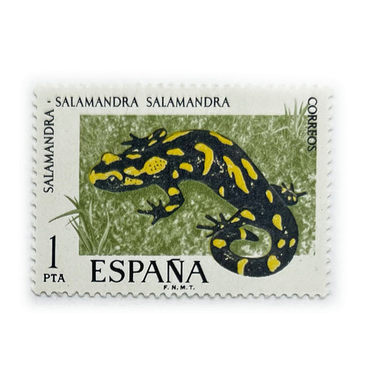 ESP 1 PTA SALAMANDRA