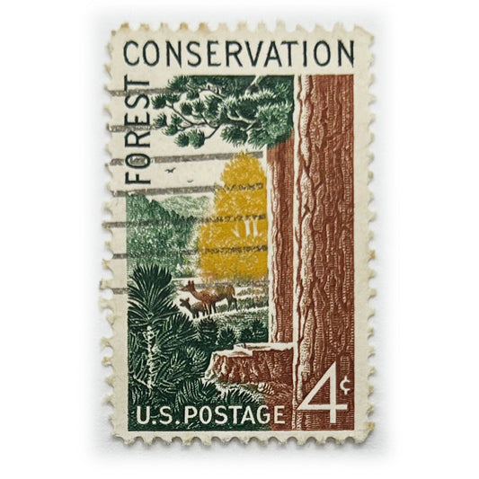 US 4 C FOREST CONSERVATION